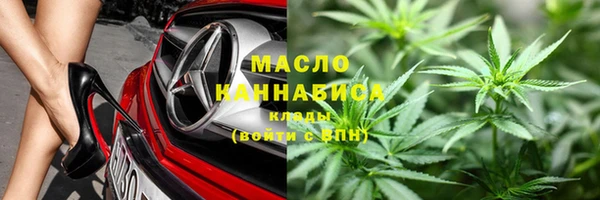 мдпв Каменногорск