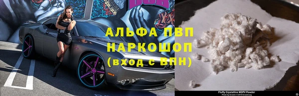 мдпв Каменногорск