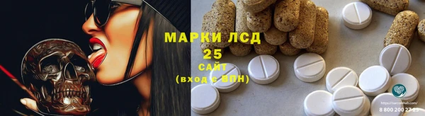 мдпв Каменногорск