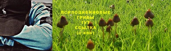 MESCALINE Пересвет