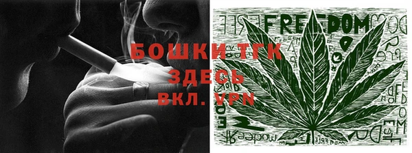 мдпв Каменногорск