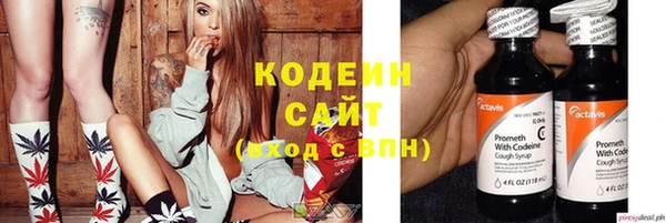 мдпв Каменногорск